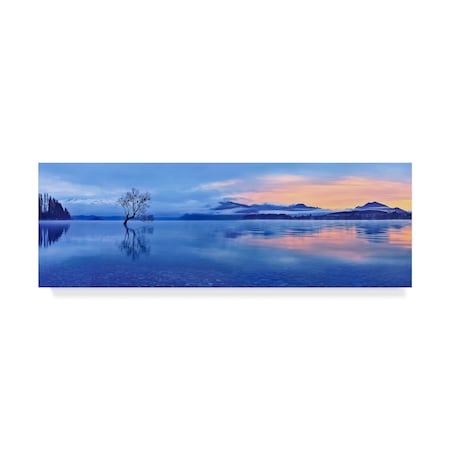 Mei Xu 'Lake Wanaka' Canvas Art,10x32